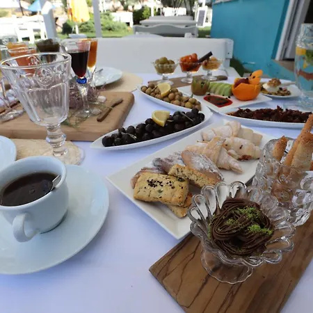 Cundavilla & Ayvalı