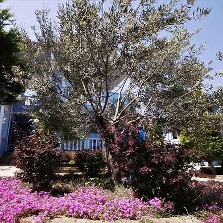 Hotel Cundavilla & 2*