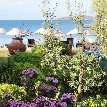 Cundavilla & Ayvalı